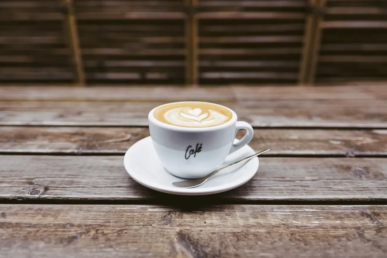 A neatly styled arrangement of modern cups, tumblers, and a water bottle in warm, natural light — Cupddle drinkware